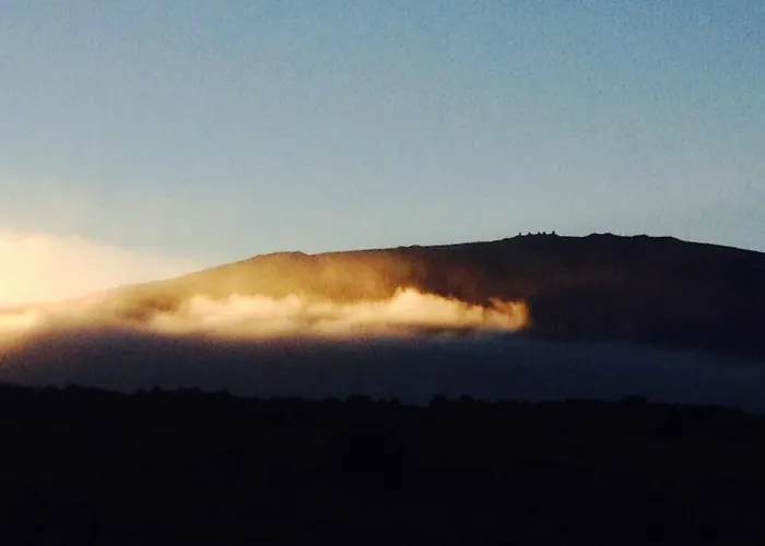 Garden Oasis At Banana Hale Studio